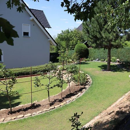 Duft- Und Parfuemfreie Allergiker-Fewo Mertendorf Exteriör bild