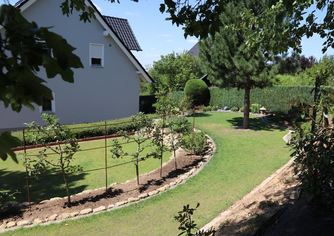 Duft- Und Parfuemfreie Allergiker-Fewo Mertendorf Exteriör bild